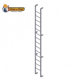 Aluminium Cat Ladder