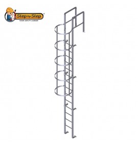 Aluminium Cat Ladder with Cage and Handrail
